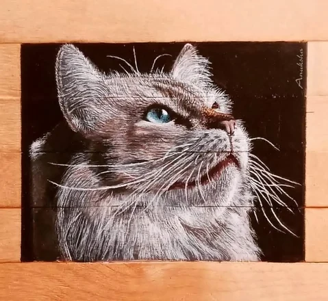 Portrait of a cat looking upward with a vivid blue eye